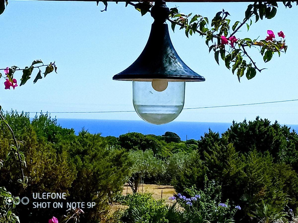Hostal Arcamyrtus Alguer Exterior foto