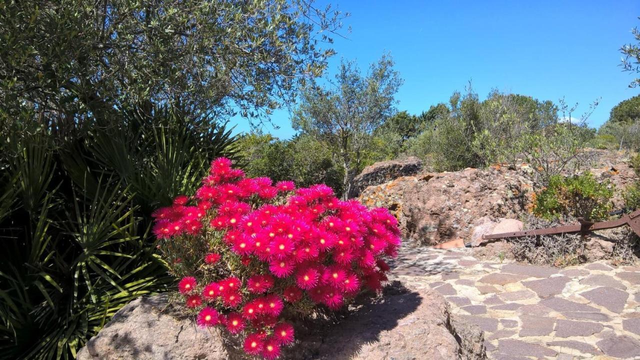 Hostal Arcamyrtus Alguer Exterior foto